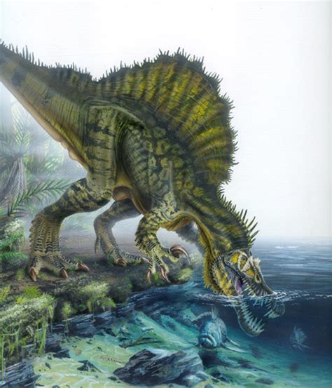 Decidimos: ¿Cual es el dinosaurio mas grande del mundo ...