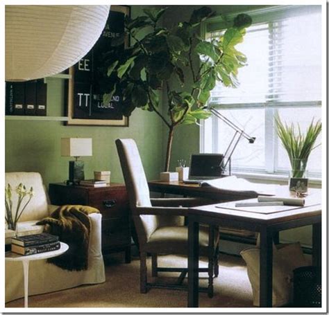 Decoración con Plantas en una Oficina