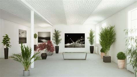 Decoración de interiores con plantas, regálate bienestar.