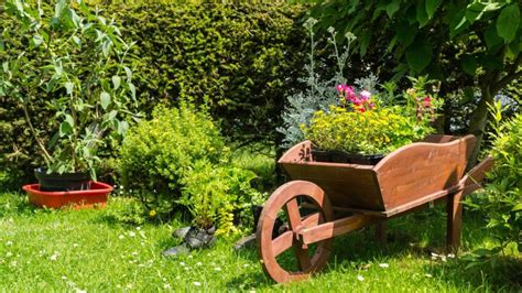 Decorar el jardín con carretillas con plantas   Hogarmania