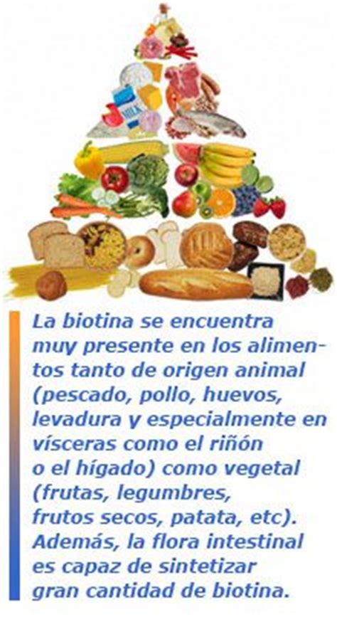 Deficit de vitamina H o Biotina   Blog de farmacia