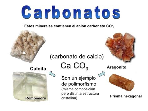 Definicion de carbonatos