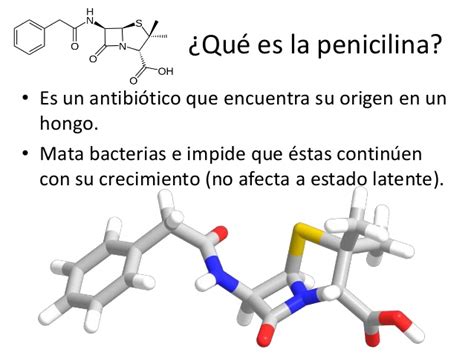 Definicion...: Penicilina!