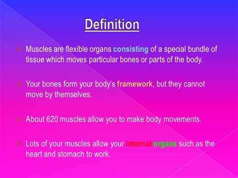 Definition Of The Muscular System – defenderauto.info