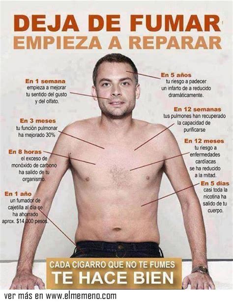 Dejar de fumar, empieza a reparar ... @ www.elmemeno.com ...