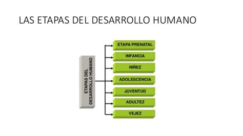 Desarrollo humano pdf