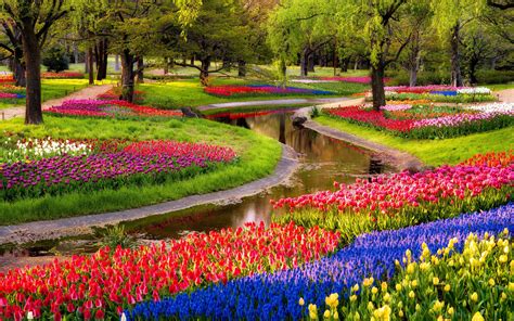Descargar 2880x1800 Jardín, flores, tulipanes, campo, el ...