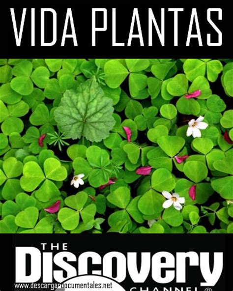 Descargar documental VIDA plantas | Descargar Documentales ...