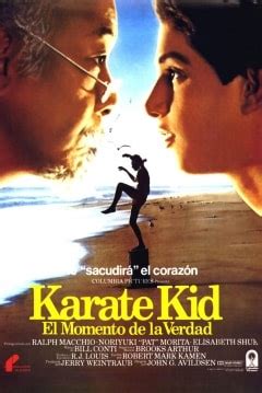 Descargar Karate Kid Gratis en Español Latino