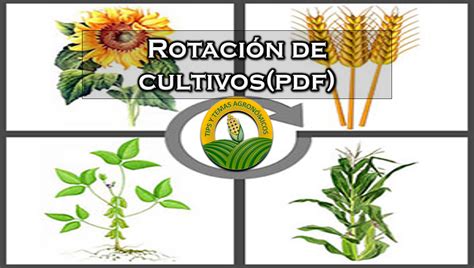 Descargar PDF Rotación y asociación de cultivos.