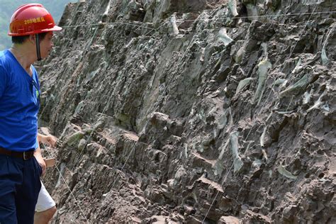 Descubierta en China una enorme pared repleta de fósiles ...