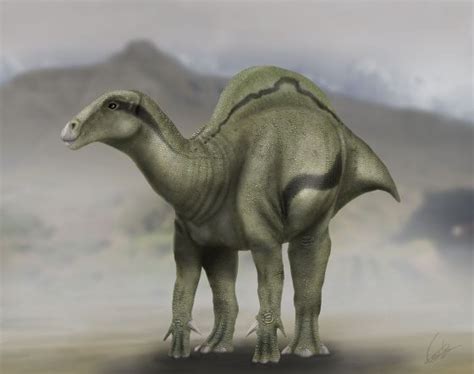 Descubierta en España una nueva especie de dinosaurio ...