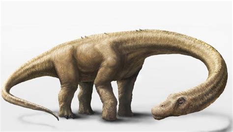 Descubierto el dinosaurio terrestre más pesado del mundo ...