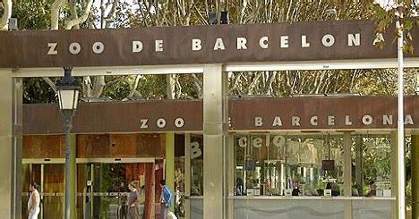 Descubre el Zoo de Barcelona con una oferta de 2x1 hasta ...