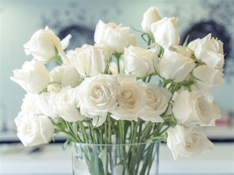 Descubre qué significan las rosas blancas   Florachic