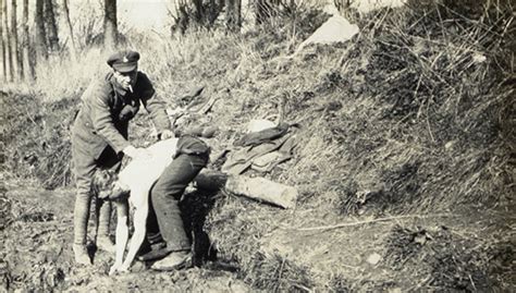 Descubren fotos inéditas de la Primera Guerra Mundial ...