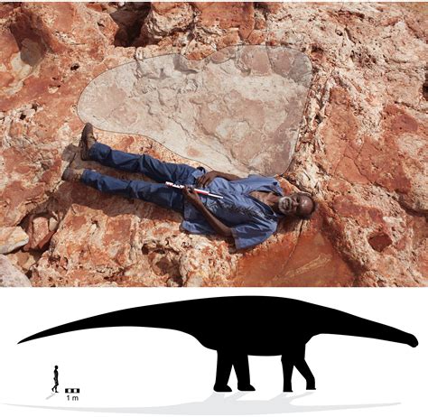 Descubren la huella de dinosaurio más grande del mundo en ...