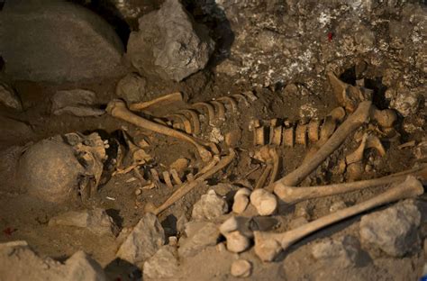 Descubren nuevos fósiles en Atapuerca