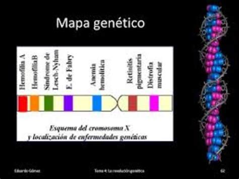 Descubrimiento ADN timeline | Timetoast timelines