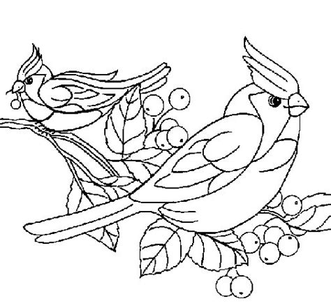 Desenho de Pássaros para Colorir   Colorir.com