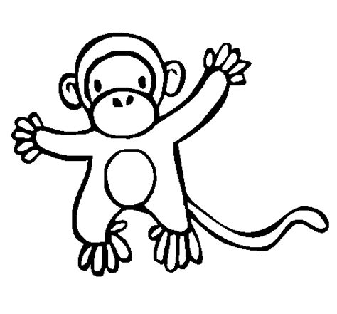 Desenhos para Colorir: Macacos, chipanzés e gorilas