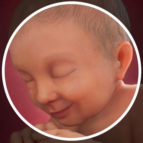 Desenvolvimento fetal 37 semanas de gravidez BabyCenter