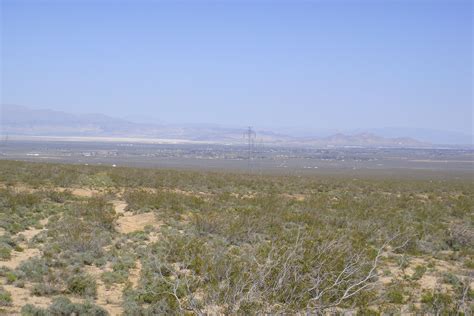 Desierto de Mojave   Wikipedia, la enciclopedia libre