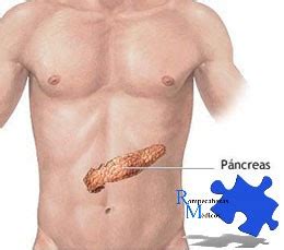 Desvelan un vínculo entre inflamación y cáncer pancreático ...