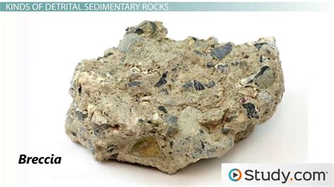 Detrital & Chemical Sedimentary Rocks: Definition ...