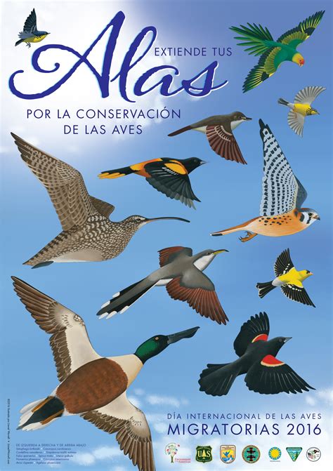 Día Internacional de las Aves Migratorias   Intecoastur