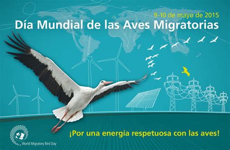 Día Mundial de las Aves Migratorias | Centro de ...