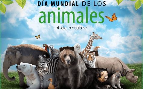 Día Mundial de los Animales, hoy 4 de octubre de 2016