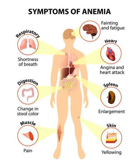 Diabetes anemia symptoms and diagnosis