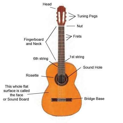 Diagram of the parts of a classical guitar