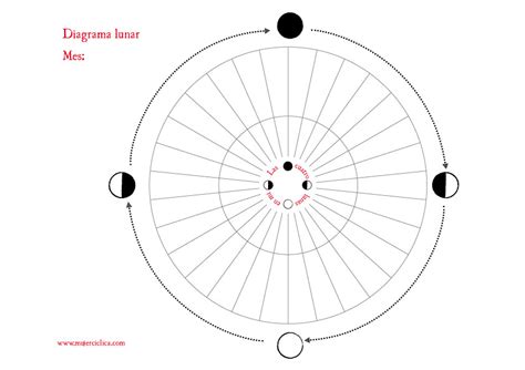 Diagrama Lunar para descargar   Mujer Cíclica