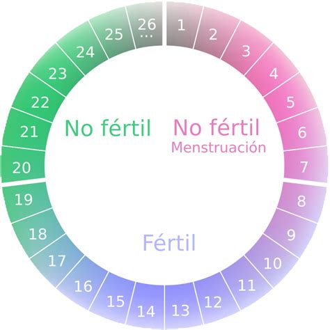 Dias Fertiles De La Mujer Menstruacion