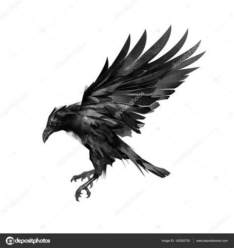 Dibujar un dibujo de un cuervo negro volando sobre un ...