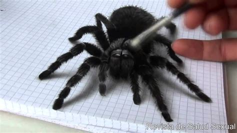 Dibujar una Araña en 3D, realista   YouTube
