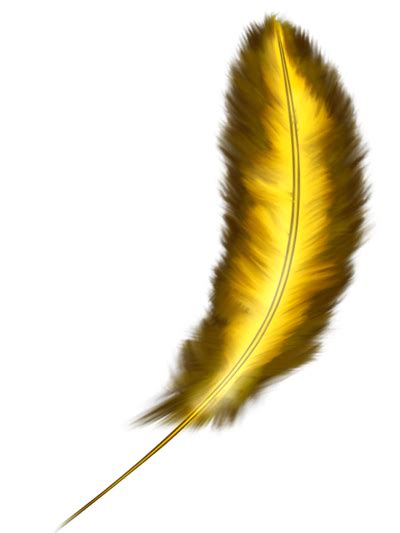 Dibujar una pluma de ave  Tutorial Photoshop    Taringa!