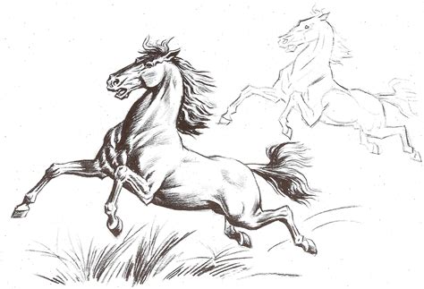 Dibujo artístico caballos. | Plantillas para pintar, etc...