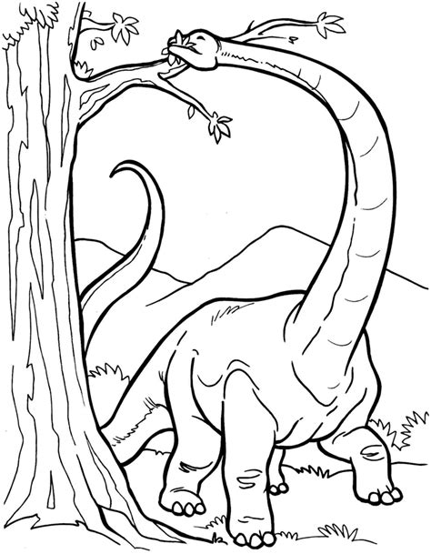 Dibujo colorear dinosaurio Diplodocus comiendo ...