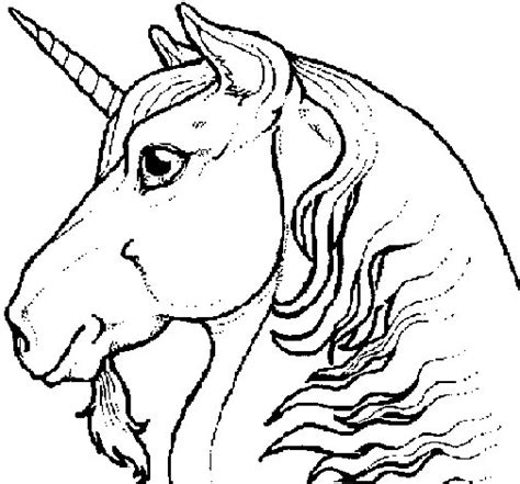 Dibujo de Cabeza de unicornio para Colorear   Dibujos.net