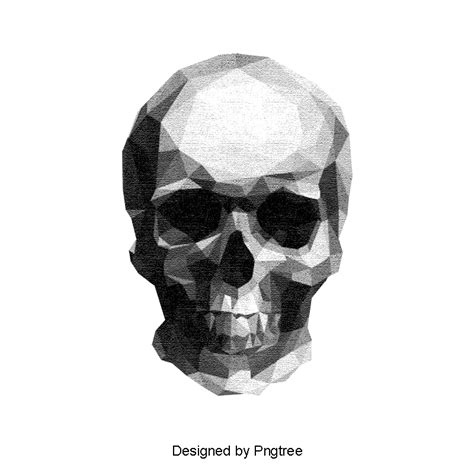 Dibujo De Calavera Sketch Esqueleto Humano Cráneo Archivo ...