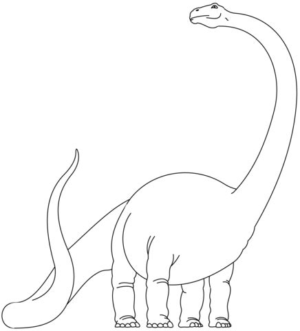 Dibujo de Dinosaurio Diplodocus para colorear | Dibujos ...