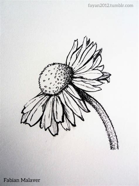 dibujo de flor | Tumblr