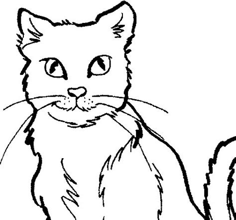 Dibujo de Gato para Colorear   Dibujos.net