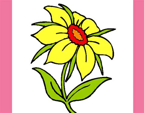 Dibujo de la flor de las plantas   Imagui