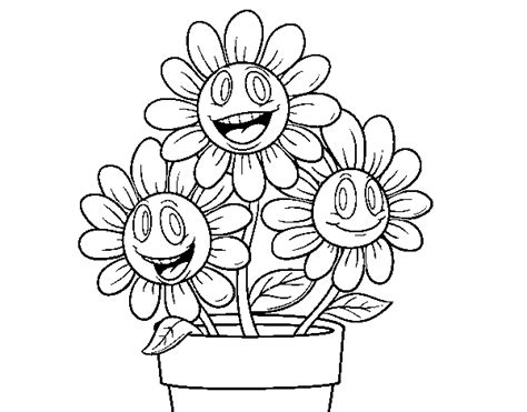 Dibujo de Maceta de flores para Colorear   Dibujos.net