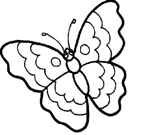 Dibujo de Mariposa 13 para Colorear   Dibujos.net