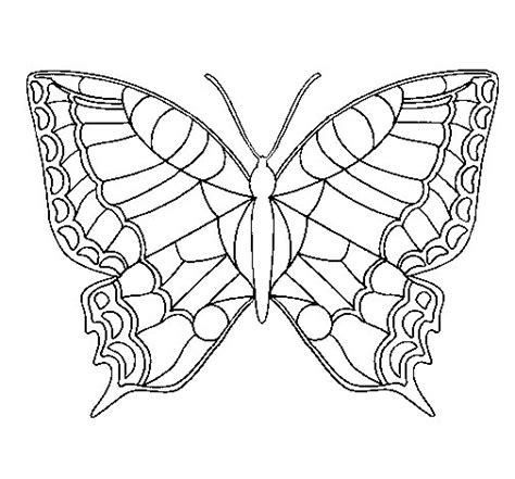 Dibujo de Mariposa 16 para Colorear   Dibujos.net